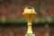 Le trophée de la CAN. © Pierre René-Worms / RFI
