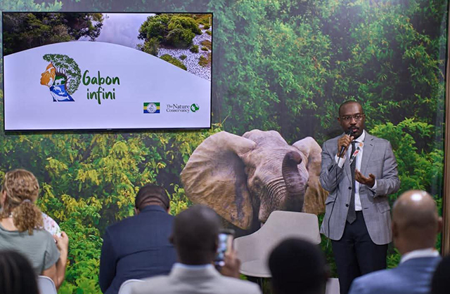 Gabon infini : miroirs aux alouettes