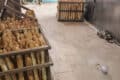 L’intérieur de la boulangerie inspectée par l’Agasa. © Agasa