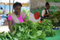Stand d’une agricultrice au Gabon lors d’un évènement similaire. © GabonReview