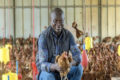 Le gouvernement veut atteindre 100 000 tonnes de production de poulets d’ici 2027. © Com. Présidentielle