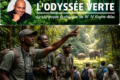 La forêt attend. Le monde est prêt. Il nous manque juste les milliers de jeunes qui vont comprendre que la plus belle carrière qui s’offre à eux n’est pas derrière un bureau de l’État - elle est sous la canopée. © GabonReview