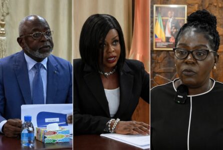 Les ministres de l’Industrie, du Commerce et des Affaires sociales. © Montage/ GabonReview