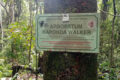 L'Arborétum Raponda Walker, partiellement déclassé par le Conseil des ministres du 22 mai 2026. © D.R.