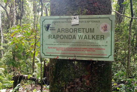 L'Arborétum Raponda Walker, partiellement déclassé par le Conseil des ministres du 22 mai 2026. © D.R.