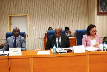 Le ministre François Ndong Obiang, à gauche, et les membres de la Commission de l’Aménagement du territoire,  des Infrastructures et des Travaux publics de l’Assemblée nationale. © D.R.