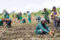 La Semaine nationale de l’environnement 2026 autour du thème «L’action climatique pour chaque organisation». © La Fondation Ma Bannière