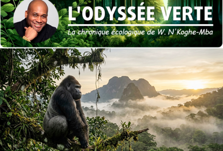 «Il y a dans ce pays quelque chose d'irremplaçable : une nature qui respire encore pour le monde entier, des animaux qui vivent comme si le temps avait décidé de ralentir, des paysages qui font à l'âme ce que nulle médecine ne sait faire [...] Ce n'est pas un catalogue. C'est un continent dans un pays». © GabonReview