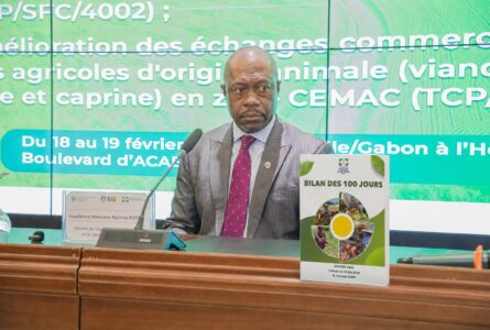 Le ministre de l’Agriculture, de l’Élevage et du Développement rural, Pacôme Kossy.  © D.R./GabonReview (IA)