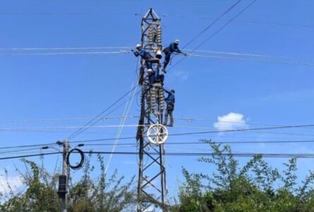 Des agents lors des travaux de déploiement du câble ACCC sur la ligne de transport électrique 90KV Owendo-Bisségué. © SEEG