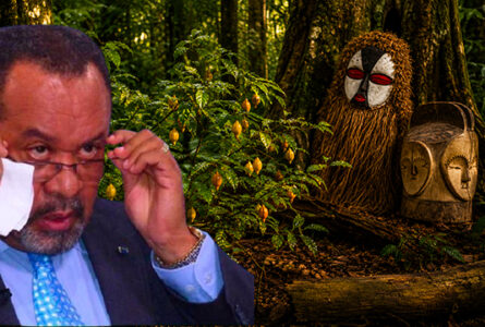 Souveraineté culturelle et spirituelle. Guy Bertrand Mapangou, Président du CESEC, porte depuis plusieurs années le plaidoyer pour la reconnaissance et la protection de l'iboga comme richesse stratégique et identitaire du Gabon. © GabonReview / Illustration IA