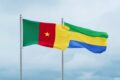 La rencontre a permis d’aborder la gestion et le suivi de la communauté camerounaise établie sur le territoire gabonais. © D.R.