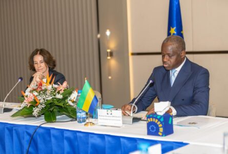 Les travaux sont présidés par le vice-président du gouvernement, Hermann Immongault, et l'ambassadrice de l'Union européenne au Gabon, Cécile Abadie. © Communication VPG