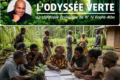 C'est la coopérative qui tient ses comptes à jour chaque mois, sans attendre que quelqu'un les réclame. C'est accepter qu'une plantation d'okoumé ou un projet d'agroforesterie ne rapportera peut-être rien avant cinq ou dix ans, et tenir ce cap-là d'abord pour soi-même, pour la promesse qu'on s'est faite le jour où on a planté la première graine. © GabonReview
