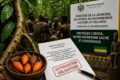 Le Gabon entend reprendre la main sur l’Iboga, son patrimoine le plus convoité. © GabonReview/Illustration IA