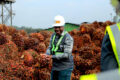 Pacôme Kossy, ministre de l'Agriculture, de l'Élevage et du Développement rural, ici lors d'une visite des installations d'Olam Palm Gabon, a présidé les 11 et 12 juillet la retraite stratégique CAP 2030 de son département. © D.R.