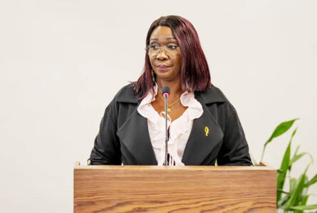 La ministre du Tourisme durable et de l’Artisanat, le Pr Marcelle Ibinga-Itsitsa, s’adressant, le 22 juillet 2026, à Libreville, aux acteurs du transport aérien et de la chaîne touristique. © D.R.
