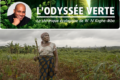 «Ce n'est plus l'agricultrice qui impose son calendrier à la saison ; c'est la saison, déréglée, qui impose le sien à l'agricultrice.» © GabonReview