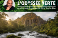 Les Monts de Cristal : « Une force brute, ancienne, qui rappelle que la nature n'a pas besoin de nous pour exister » © GabonReview / montage IA