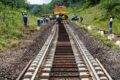 Des ouvriers sur le chantier de la modernisation Transgabonais. © D.R.