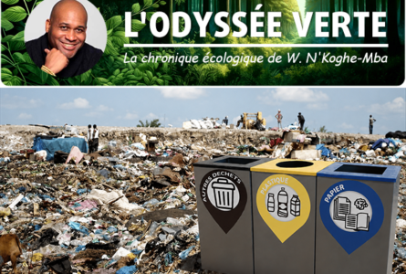 De la décharge à la matière première : à travers REVADAC, on peut voir comment ce que la ville rejette peut entrer dans un nouveau cycle économique, créer de la valeur et, surtout, des emplois. (image à titre illustratif)© GabonReview (montage)
