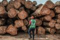 Oligui Nguema a ordonné le paiement de 20 milliards de FCFA de TVA dus à la filière Forêt-Bois. © Arlette Bashizi/ The New York Times/ Réa