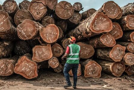 Oligui Nguema a ordonné le paiement de 20 milliards de FCFA de TVA dus à la filière Forêt-Bois. © Arlette Bashizi/ The New York Times/ Réa