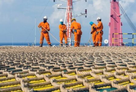 Des employés de Panoro Energy sur une plateforme. © D.R.