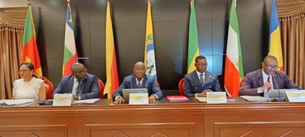 Énergie : la CEMAC prépare un système d’information commun
