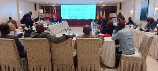 SIE-CEMAC : les États appelés à renforcer leurs cellules