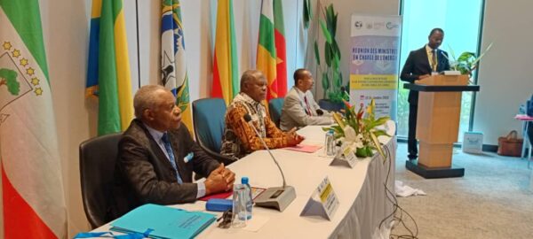 Données énergétiques : la CEMAC veut parler d’une même voix