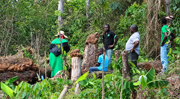 Agriculture : Bouyi Moundoumba renforce ses capacités de production avec l’appui de la BCEG