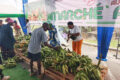 Les premiers clients devant le stand des bananes plantains, au stade de Nzeng-Ayong. © GabonReview