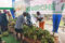 Les premiers clients devant le stand des bananes plantains, au stade de Nzeng-Ayong. © GabonReview