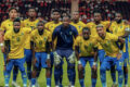 Les Panthères du Gabon. © D.R.