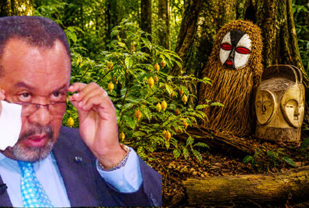 Pour Guy Bertrand Mapangou, président du CESEC, vendre l'iboga et ses savoirs associés est un danger culturel et spirituel.  © GabonReview / Illustration IA