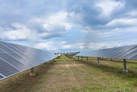 Une vue de la centrale solaire de Plaine Ayémé. © D.R.