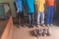 Les quatre accusés après leur arrestation. © ONG Conservation Justice