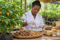 De la plantation aux produits transformés, le GIE BOIS plaide pour une filière qui conserve la valeur ajoutée au Gabon. Illustration générée par IA. © GabonReview