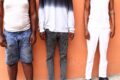Les trois jeunes compatriotes après leur interpellation. © GabonReview