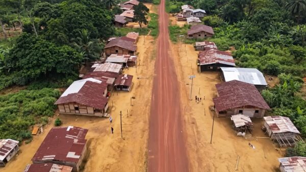 Conflit homme-éléphant : huit ans après, le village Lata renaît derrière les clôtures électriques