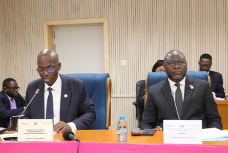 Augustin Emane (à gauche) lors de son audition devant les députés. © D.R.