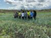 Scène du lancement de la récolte avec les membres de la coopérative et des responsables locaux. © D.R.