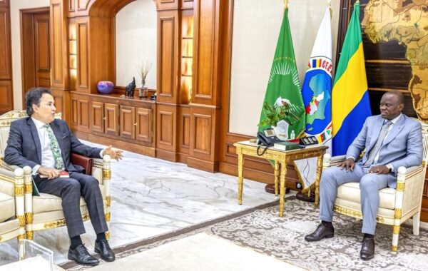 Gabon-Brésil : Oligui Nguema mise sur le renforcement de la coopération forestière