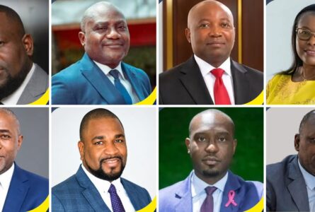 Les huit nouveaux entrants du gouvernement. © Photo montage/GabonReview