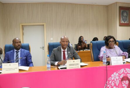 À l’occasion de l’examen du projet de loi de finances (PLF) 2027, les ministres Stanislas Stephen Mouba Olouna (à gauche) et Maurice Ntossui Allogho ont été auditionnés, le 24 octobre 2026 par les députés. © Presse Assemblée nationale