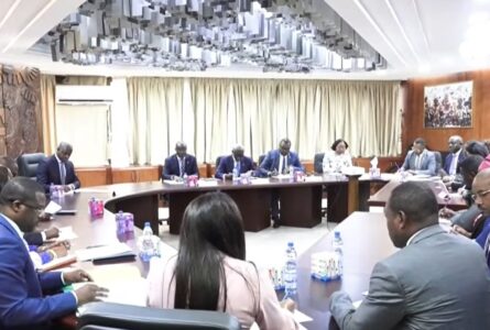 Instantané de la réunion chez les VPG, le 14 octobre 2026 (capture d'écran). © GabonReview