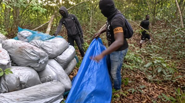 Trafic de drogue : 135 sacs de cannabis saisis entre Cap Estérias et Bambouchine