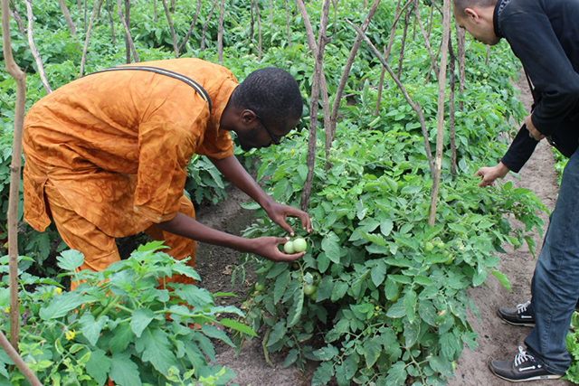 Agriculture : Des Gabonais en formation au Maroc