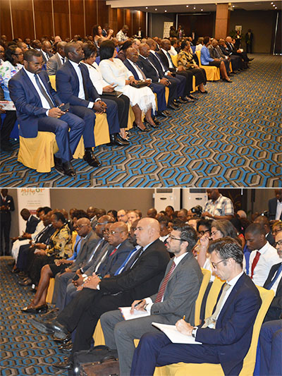 Bad : Le bilan provisoire du DSP au Gabon